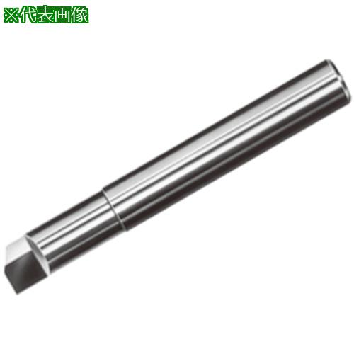 ■タンガロイ T-DIAエンドミル DEB1000 DX140〔品番:DEB1050〕【3560343:0】[送料別途見積り][掲外取寄][店頭受取不可]