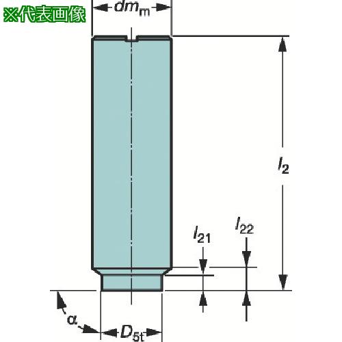 ■SANDVIK 円筒シャンク Coromant[[R上]]EHアダプタ(445)〔品番:E16A20SS070〕【3589099:0】[店頭受取不可]｜ホームセンターバロー　店