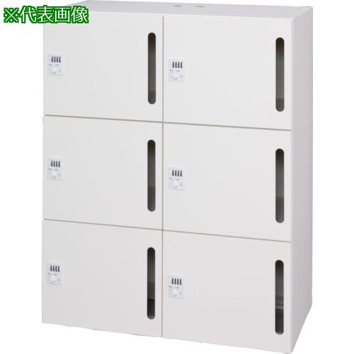 ■DAISHIN パーソナルロッカー6人用 ホワイト色 シリンダー錠タイプ 縦投入孔〔品番:L94511LLSW〕【3623147:0】[送料別途見積り][法人・事業所限定][直送][店頭受取不可]｜ホームセンターバロー　店