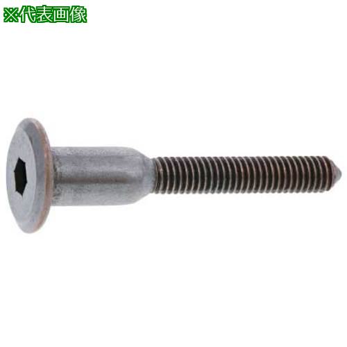 ■SUNCO ニッケル JCB-A(六角穴D17 6 X 50 (100本入)〔品番:610001000060050005〕【3627567:0】[送料別途見積り][掲外取寄][店頭受取不可]