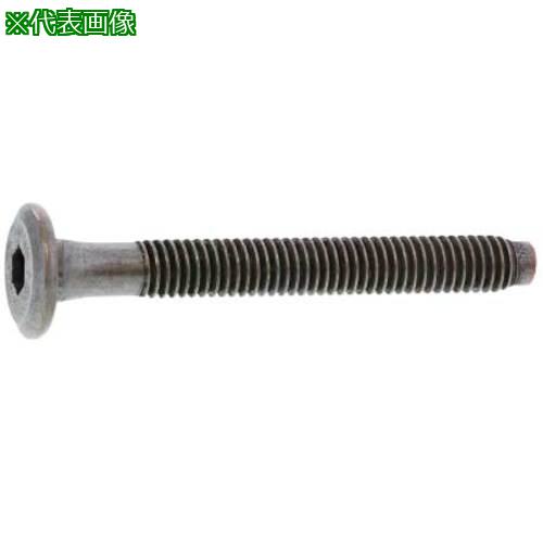 ■SUNCO GB JCB-C(六角穴D13 6 X 30 (350本入)〔品番:610001200060030007〕【3627591:0】[送料別途見積り][掲外取寄][店頭受取不可]