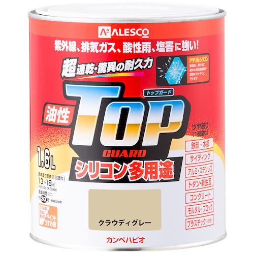 ■KANSAI 油性トップガード クラウディグレー 1.6L《6缶入》〔品番:00017640681016〕【3627766×6:0】[送料別途見積り][法人・事業所限定][掲外取寄][店頭受取不可]