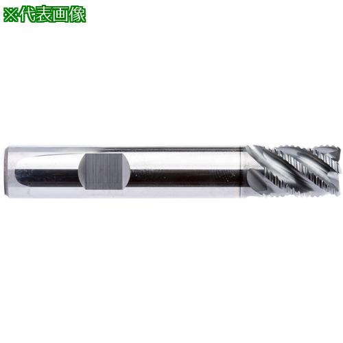 ■MAPAL 超硬ラフィングエンドミル 多刃 不等分割〔品番:SCM8900500Z05RF0025HBHP723〕【3636192:0】[送料別途見積り][法人・事業所限定][掲外取寄][店頭受取不可] 9,280円