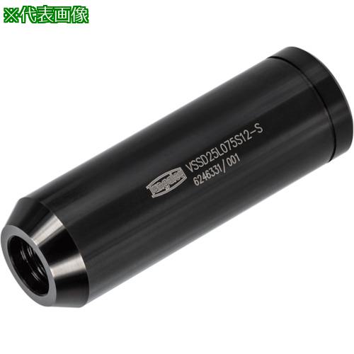 ■タンガロイ タング・マイスター用シャンク VSSD〔品番:VSSD40L100S21S〕【3643429:0】[送料別途見積り][掲外取寄][店頭受取不可]