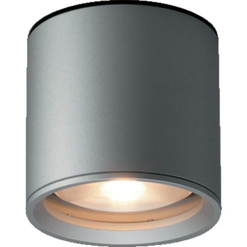 ■山田 シーリングライト・軒下照明 1120lm 電球色 ダークシルバー〔品番:AD2602L〕【3648394:0】[送料別途見積り][法人・事業所限定][外直送][店頭受取不可]