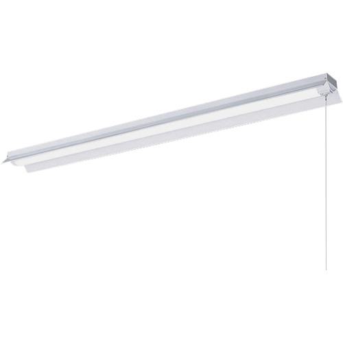 ■岩崎 LEDベースライト 笠付 プルスイッチ 非調光〔品番:ELR42001DNPPN9〕【3650128:0】[送料別途見積り][掲外取寄][店頭受取不可]