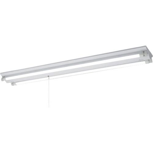 ■岩崎 LDL40×2灯用逆富士形PS付調光形Lフリー〔品番:ELV40202APFX9〕【3650185:0】[送料別途見積り][法人・事業所限定][掲外取寄][店頭受取不可]