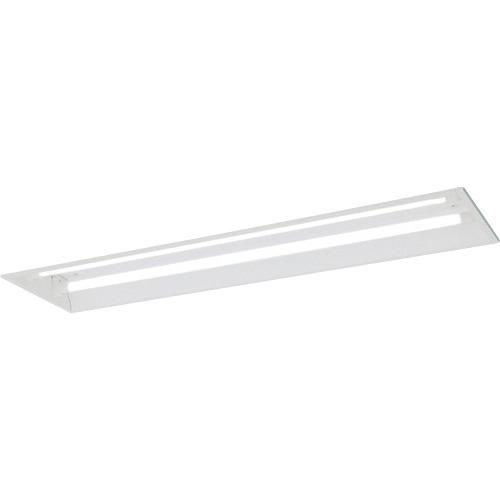 ■岩崎 LDL40×2灯用 埋込形 定格出力形 Lフリー〔品番:ELM40261PFH9〕【3654952:0】[送料別途見積り][法人・事業所限定][掲外取寄][店頭受取不可] 20,713円