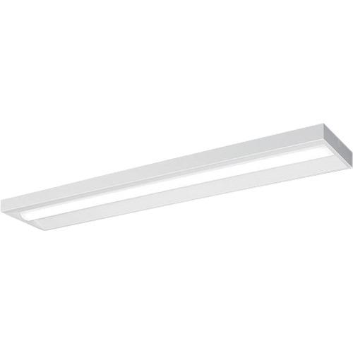 ■岩崎 LEDベースライト 直付 一般 非調光〔品番:ELD44001DNPN9〕【3654955:0】[送料別途見積り][掲外取寄][店頭受取不可]
