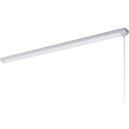 ■岩崎 LEDベースライト トラフ プルスイッチ 非調光〔品番:ELT42001DNPPN9〕【3656492:0】[送料別途見積り][掲外取寄][店頭受取不可]