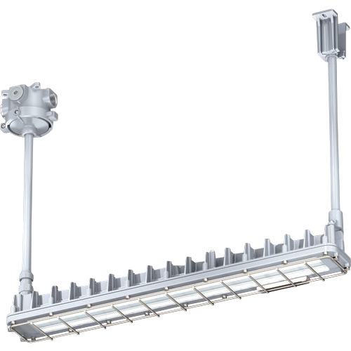 ■岩崎 粉じん防爆形LED照明器具2灯用パイプ吊形〔品番:EDCL2041SA916〕【3669019:0】[送料別途見積り][法人・事業所限定][掲外取寄][店頭受取不可]