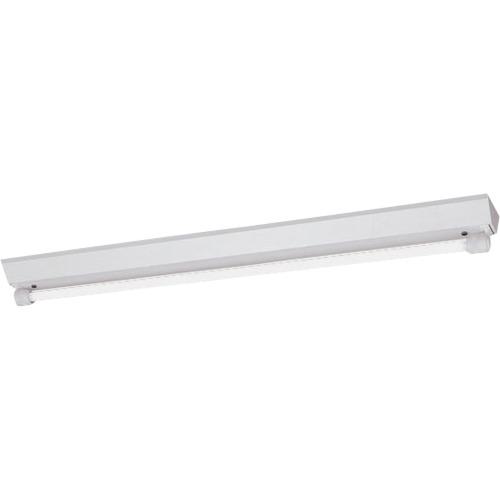 ■岩崎 LDL40×1灯用逆富士形 WP Lフリー〔品番:ELVW40101PFH9〕【3670672:0】[送料別途見積り][法人・事業所限定][掲外取寄][店頭受取不可]