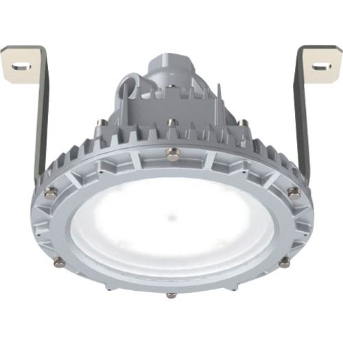 ■岩崎 安全増防爆形LED照明器具特殊直付形〔品番:EYIL9081SA922〕【3670889:0】[送料別途見積り][掲外取寄][店頭受取不可]