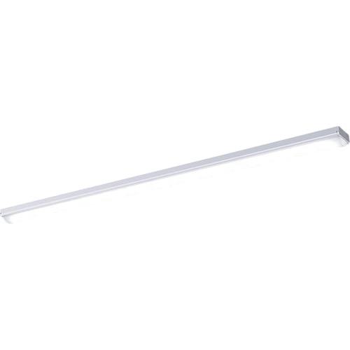 ■岩崎 LEDベースライト トラフ 省エネ 非調光〔品番:ELT46901DNPNS9〕【3672269:0】[送料別途見積り][掲外取寄][店頭受取不可]
