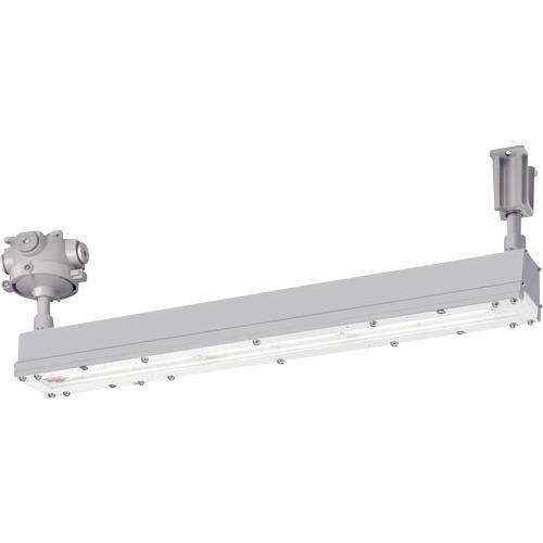 ■岩崎 安全増防爆形LED照明器具2灯用直付形〔品番:EYICL1041SA9F28〕【3672443:0】[送料別途見積り][法人・事業所限定][掲外取寄][店頭受取不可]