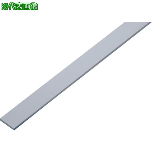 ■カメダ 銅バー ニッケルメッキ仕上げ DB-850M〔品番:DB850M〕【3683756:0】[店頭受取不可]｜ホームセンターバロー　店