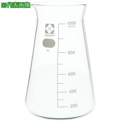 超ワイドモンキレンチ×北斗の拳|最強共同研究がここに現実化！ ビーカー-花・ガーデン・DIY-研究・実験用品