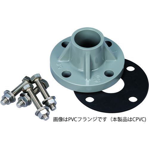 ■日本フイルター EGH-8-A型/B型共通オプション 「EGH-8-A/B 出口 TS-CPVCフランジ40A ASSY」〔品番:F1610080490〕【3697288:0】[送料別途見積り][法人・事業所限定][外直送][店頭受取不可]