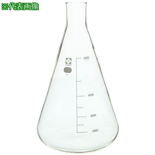 ■AS 010530-5000 三角フラスコ〔品番:4282512〕【3704576:0】[送料別途見積り][法人・事業所限定][掲外取寄][店頭受取不可]