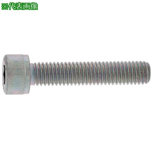 ■SUNCO ステンCAP(全ネジ 20×160×160 (1本入)〔品番:A002001002001600001P〕【3717673:0】[送料別途見積り][掲外取寄][店頭受取不可]