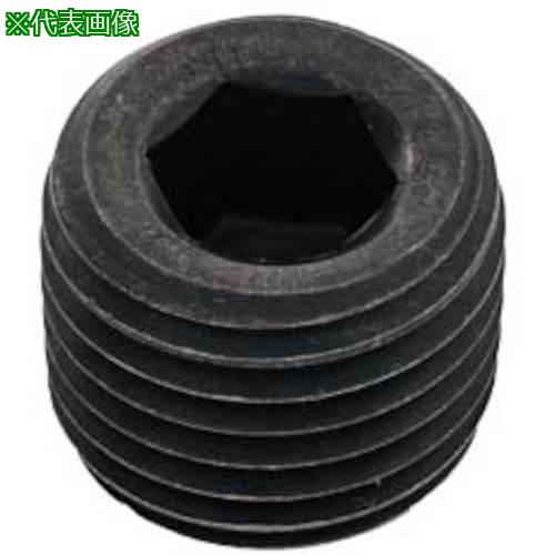 ■SUNCO GOSHOプラグ(浮き NPTF GD 1&rdquo;1/4 (1本入)〔品番:A000583081200000001P〕【3723573:0】[送料別途見積り][掲外取寄][店頭受取不可]｜ホームセンターバロー　店
