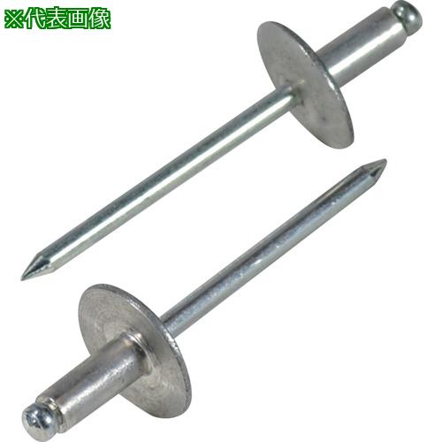 ■エビ ブラインドリベット・ラージフランジ アルミ/スティール6-8 (500本入)〔品番:NSA68LF〕【3724603:0】[店頭受取不可]