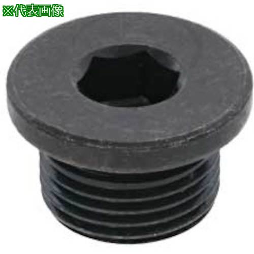 ■SUNCO GOSHOプラグ (ツバ付き GPF 2” (1本入)〔品番:A000585082000000001P〕【3728965:0】[送料別途見積り][掲外取寄][店頭受取不可]