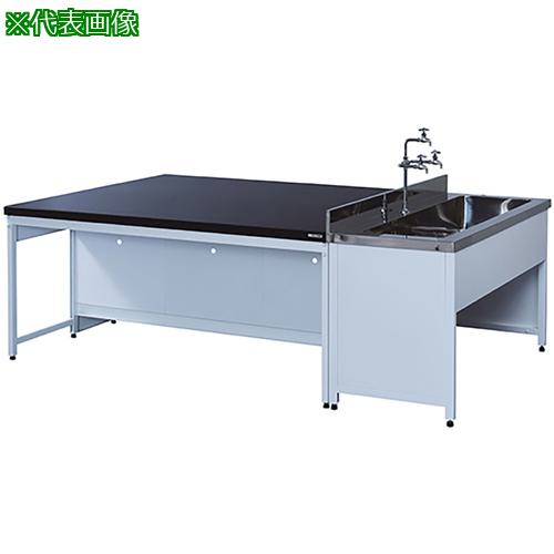 ■AS 中央実験台EAA-2415N〔品番:3414701〕【3741431:0】[送料別途見積り][法人・事業所限定][外直送][店頭受取不可]