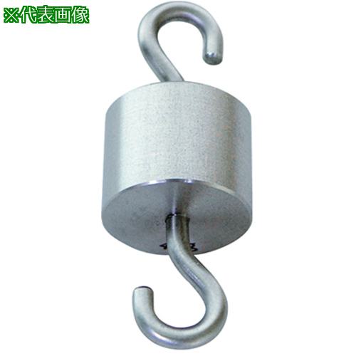 ■AS 特殊分銅 M1円筒型上下フック付 500g〔品番:3848806〕【3747517:0】[送料別途見積り][法人・事業所限定][掲外取寄][店頭受取不可]