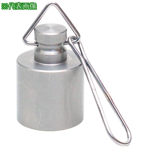 ■AS 特殊分銅 M1精密分銅型環付 200g〔品番:3848907〕【3753781:0】[送料別途見積り][法人・事業所限定][掲外取寄][店頭受取不可]