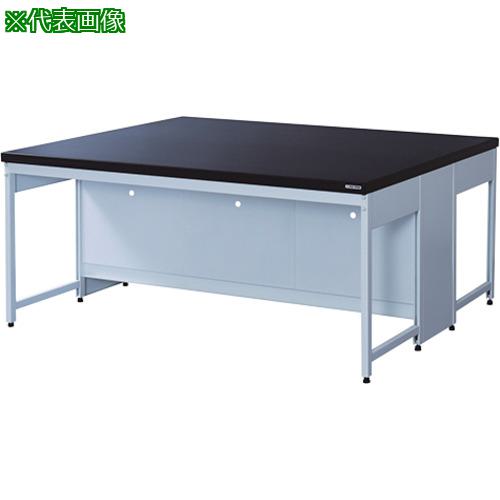 ■AS 中央実験台EAA-1512〔品番:3400701〕【3754174:0】[送料別途見積り][法人・事業所限定][外直送][店頭受取不可]｜ホームセンターバロー　店