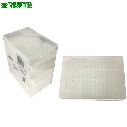 超ワイドモンキレンチ×北斗の拳|最強二人三脚がここに具体化！