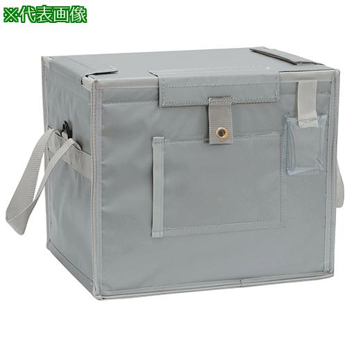■AS 検体輸送箱 C-CA04〔品番:4401803〕【3762633:0】[送料別途見積り][法人・事業所限定][掲外取寄][店頭受取不可]｜ホームセンターバロー　店