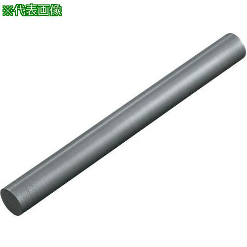 ■AS 黒鉛丸棒 φ50&times;100〔品番:369205〕【3763055:0】[送料別途見積り][法人・事業所限定][掲外取寄][店頭受取不可]｜ホームセンターバロー　店