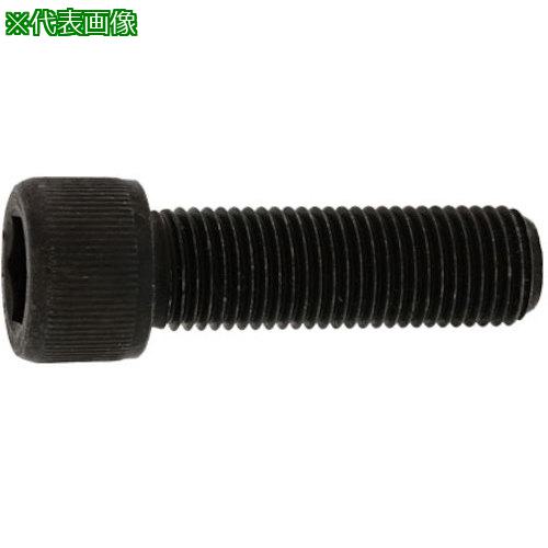 ■SUNCO ステンCAP(UNF1/2-20X5”(1本入)〔品番:A002004080408500001P〕【3767716:0】[送料別途見積り][掲外取寄][店頭受取不可]