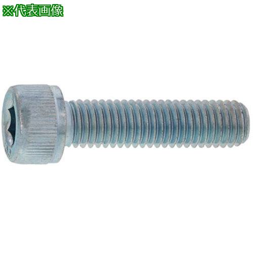 ■SUNCO SUS316L CAP(六角穴付きボルト) 20×110 (1本入)〔品番:A012000002001100001P〕【3774094:0】[送料別途見積り][掲外取寄][店頭受取不可]