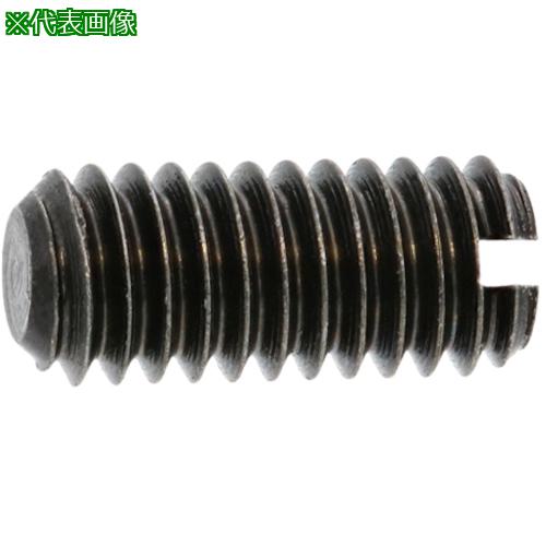 ■SUNCO ステン(-)止めネジ平先 1 X 2.0 (100本入)〔品番:C1020J000010002000〕【3776371:0】[送料別途見積り][掲外取寄][店頭受取不可]｜ホームセンターバロー　店