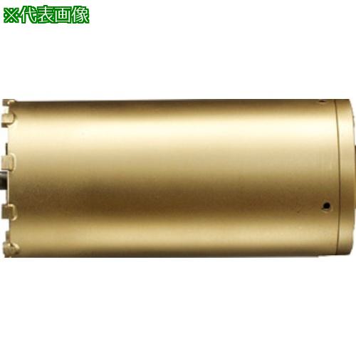 ■ハウスB.M スーパーハードコアドリル(ボディのみ)〔品番:AMB55〕【3799023:0】[送料別途見積り][掲外取寄][店頭受取不可]｜ホームセンターバロー　店