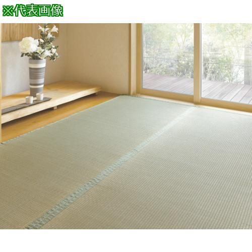 ■【在庫限り】大島屋 ウレタン貼りい草上敷き 聚楽 江戸間4.5帖 261&times;261cm〔品番:27620〕【3924215:0】[店頭受取不可]｜ホームセンターバロー　店