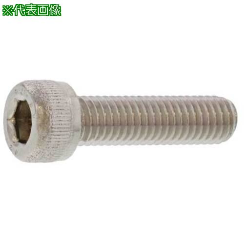 ■SUNCO ステンCAP 興津螺旋製 2.3 X 10 (1000本入)〔品番:A002000V0023010000〕【3937915:0】[送料別途見積り][掲外取寄][店頭受取不可]｜ホームセンターバロー　店