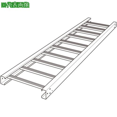 ■NEGUROSU 直線ラック〔品番:DR20〕【4015927:0】[送料別途見積り][法人・事業所限定][外直送][店頭受取不可]