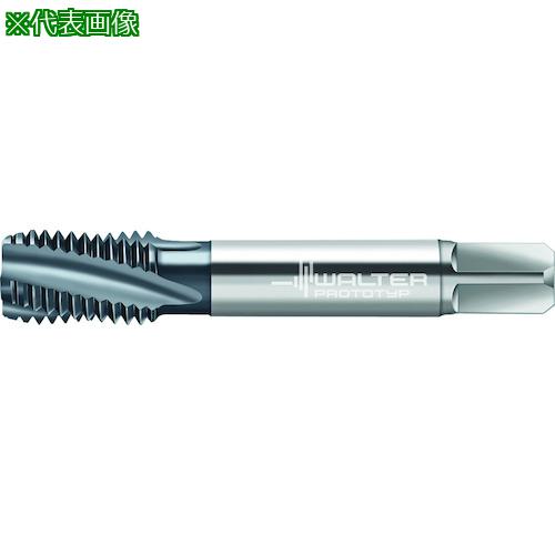 ■Prototyp HSS-E マシンタップ〔品番:A2345606SUNF1〕【4041435:0】[送料別途見積り][掲外取寄][店頭受取不可]