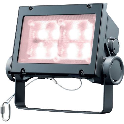 ■岩崎 LED投光器(80クラス、広角タイプ、白色タイプ)〔品番:ECF8040WVWSAN8DG〕【4060821:0】[送料別途見積り][掲外取寄][店頭受取不可]｜ホームセンターバロー　店