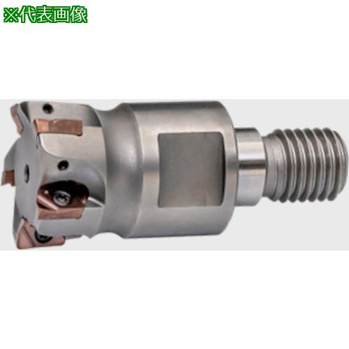 ■MOLDINO アルファ.ポリッシュミルVタイプMINI〔品番:ASPV1012R3〕【4101494:0】[送料別途見積り][法人・事業所限定][掲外取寄][店頭受取不可]