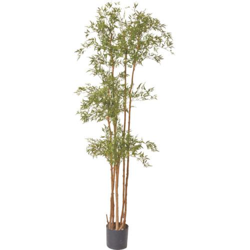 ■グリーンクロス ポリシャスツリーL 全長200cm〔品番:6300029232〕【4102219:0】[送料別途見積り][法人・事業所限定][外直送][店頭受取不可] 28,529円