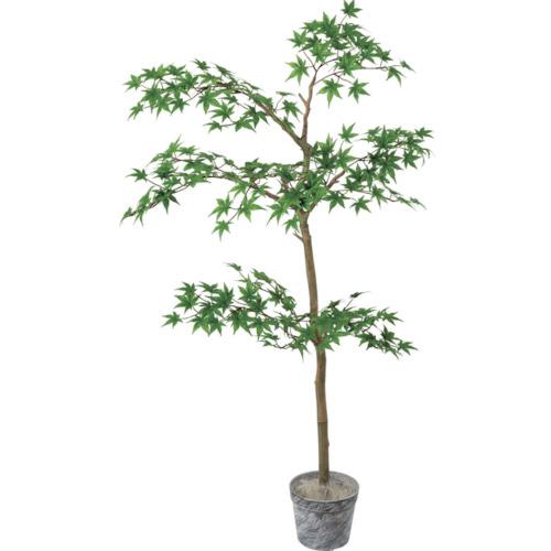 ■グリーンクロス ジョイントメープルツリーセット 全長130cm〔品番:6300029186〕【4103767:0】[送料別途見積り][法人・事業所限定][外直送][店頭受取不可]｜ホームセンターバロー　店