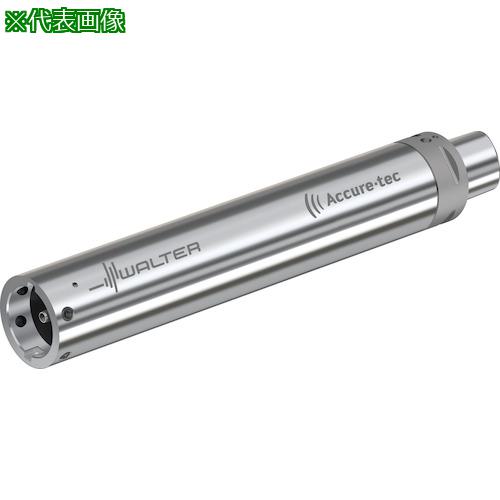 ■Walter Walter Capto TM アダプター ビビり抑制 A3001-C〔品番:A3001C8QL60421〕【4104780:0】[送料別途見積り][掲外取寄][店頭受取不可]