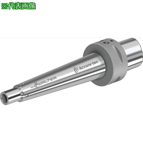 ■Walter Walter Capto TM アダプター ビビり抑制 AC060-C〔品番:AC060C6T18185〕【4104795:0】[送料別途見積り][掲外取寄][店頭受取不可]