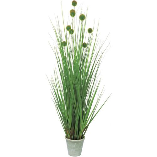 ■グリーンクロス ポンポングラスポットL 全長120cm〔品番:6300029173〕【4105292:0】[送料別途見積り][法人・事業所限定][外直送][店頭受取不可]