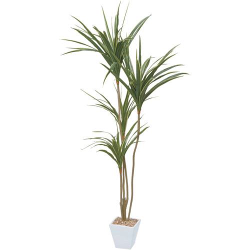 ■グリーンクロス ユッカポット145cm〔品番:6300029169〕【4105294:0】[送料別途見積り][法人・事業所限定][外直送][店頭受取不可]